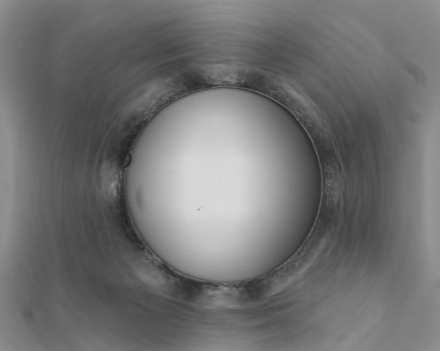 X0000112080125200908181250