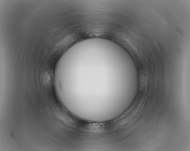 X0000112080126200908181250