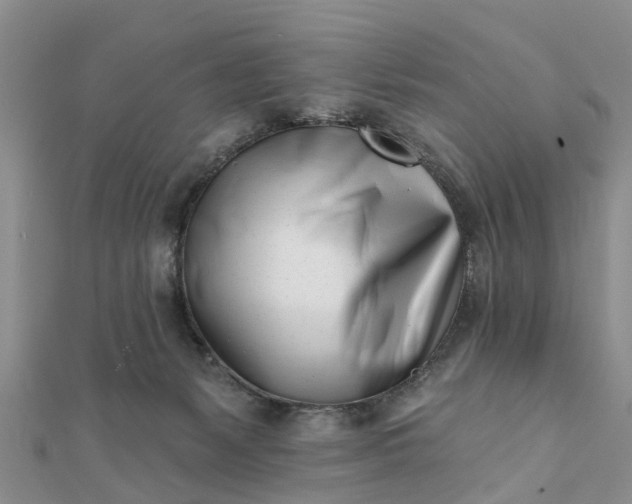 X0000112080127200908181250