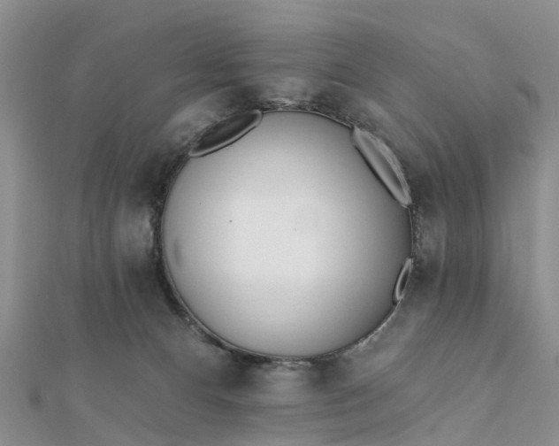 X0000112080128200908181250