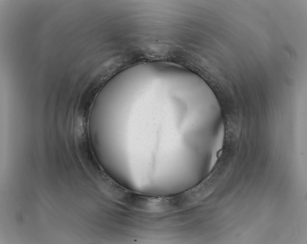 X0000112080130200908181250