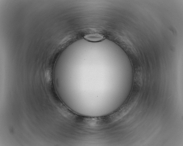 X0000112080131200908181250