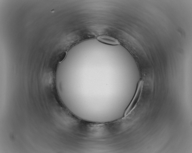 X0000112080132200908181250