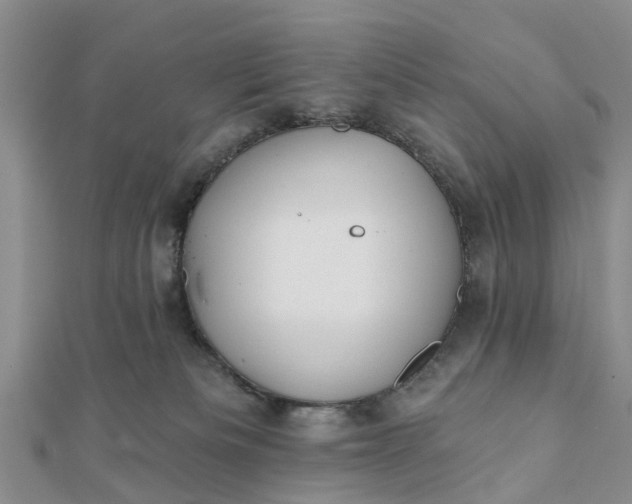 X0000112080133200908181250