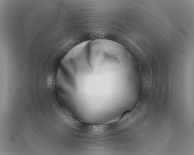 X0000112080134200908181250