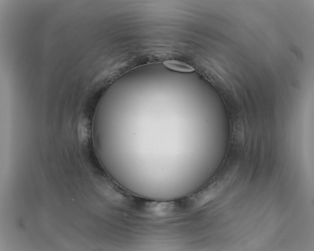 X0000112080135200908181250