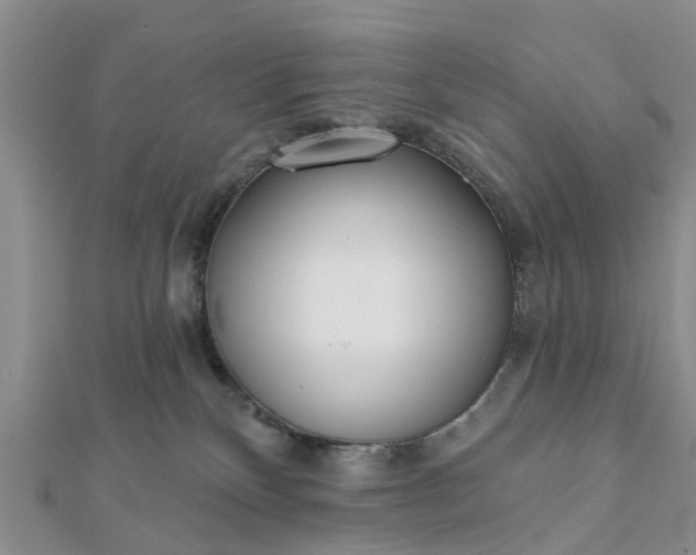 X0000112080136200908181250