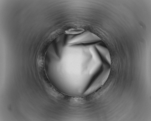 X0000112080137200908181250