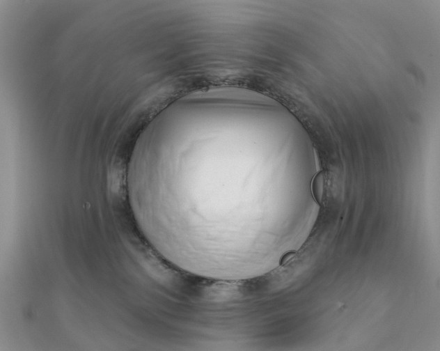 X0000112080138200908181250