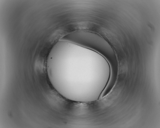 X0000112080140200908181250