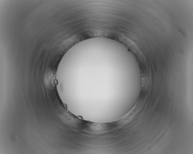 X0000112080142200908181250