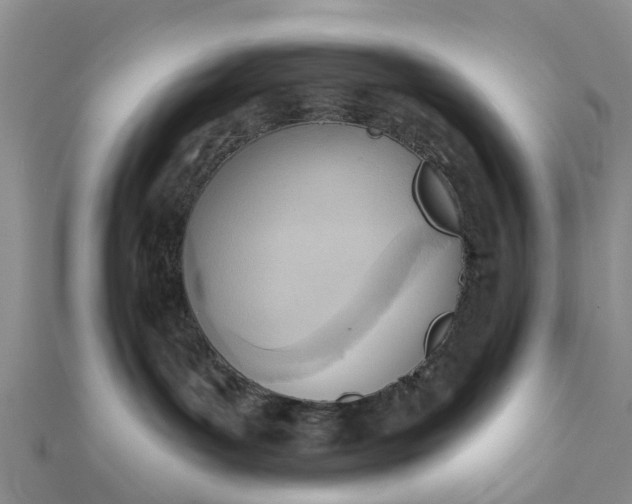 X0000112080143200908181250