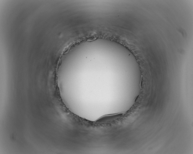 X0000112080144200908181250