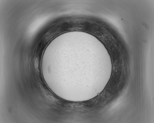 X0000112080146200908181249