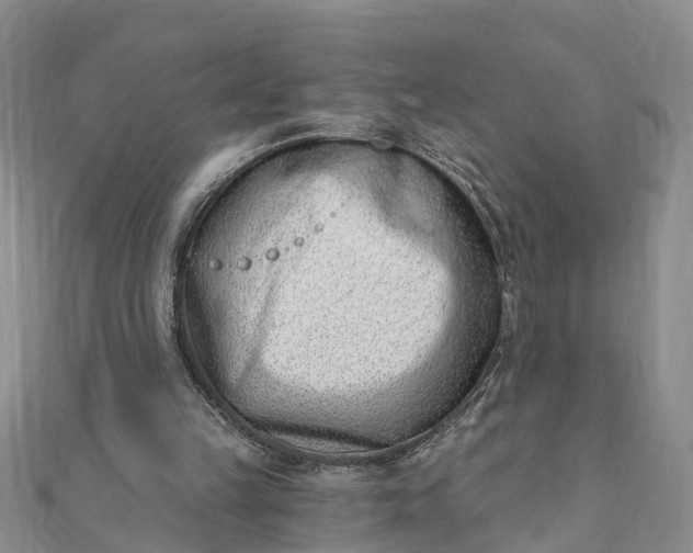 X0000112080149200908181249