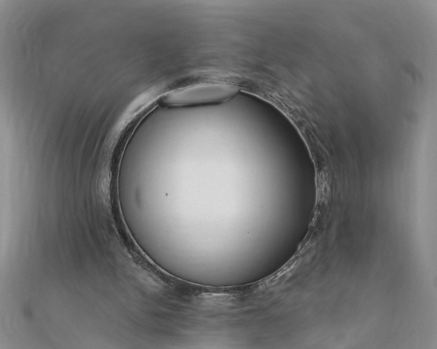 X0000112080150200908181249