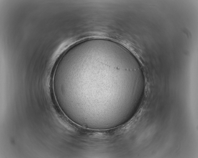 X0000112080151200908181249