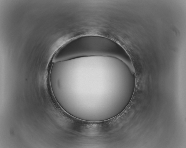 X0000112080152200908181249