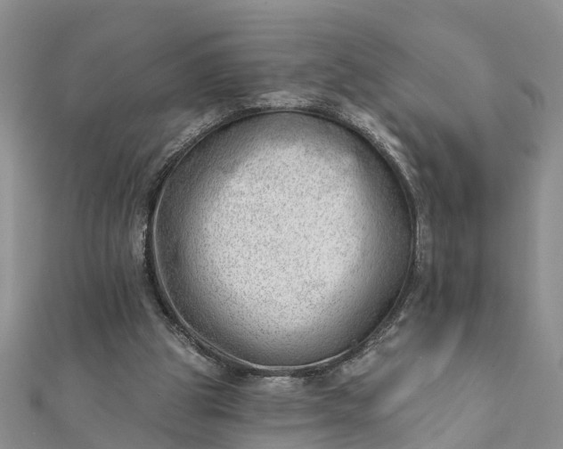 X0000112080153200908181249