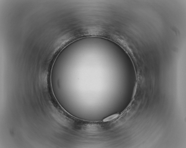 X0000112080154200908181249