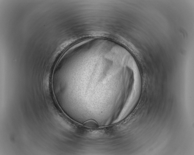 X0000112080155200908181249