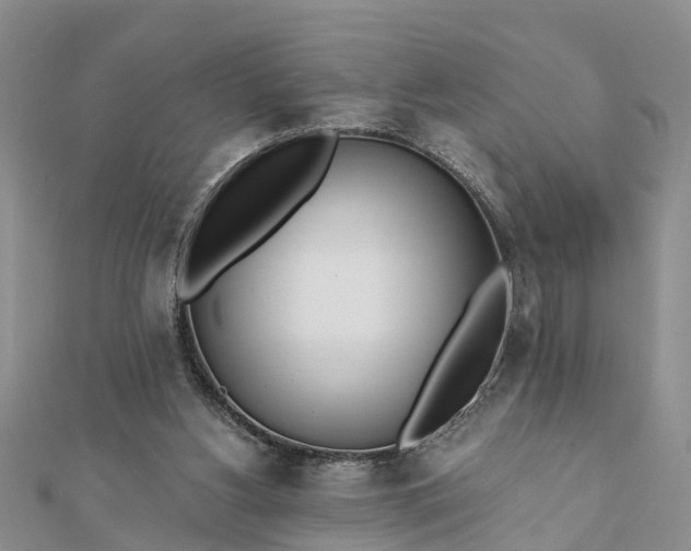 X0000112080156200908181249