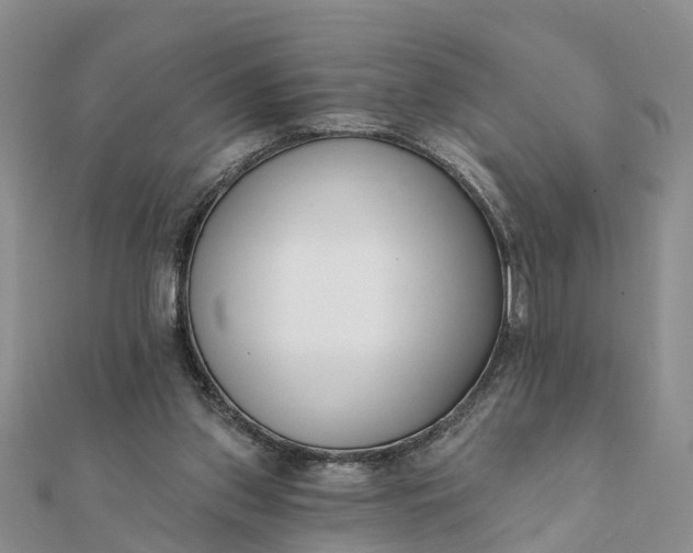 X0000112080157200908181249