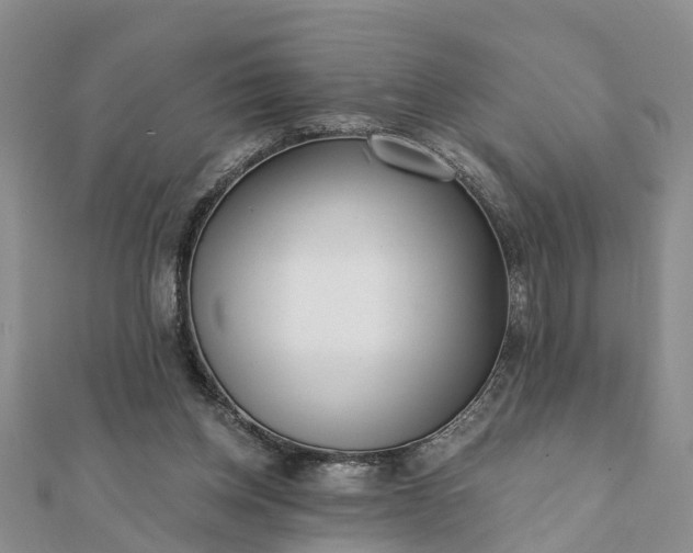 X0000112080158200908181249