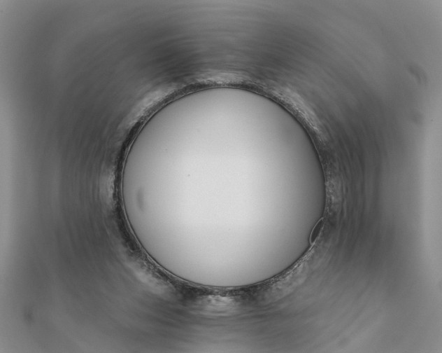 X0000112080159200908181249