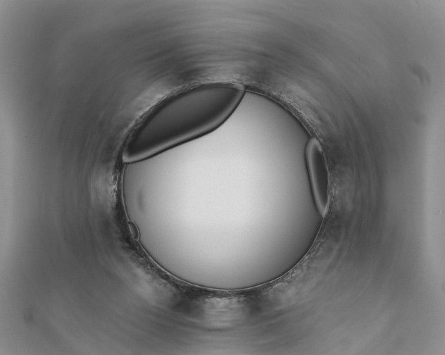 X0000112080160200908181249