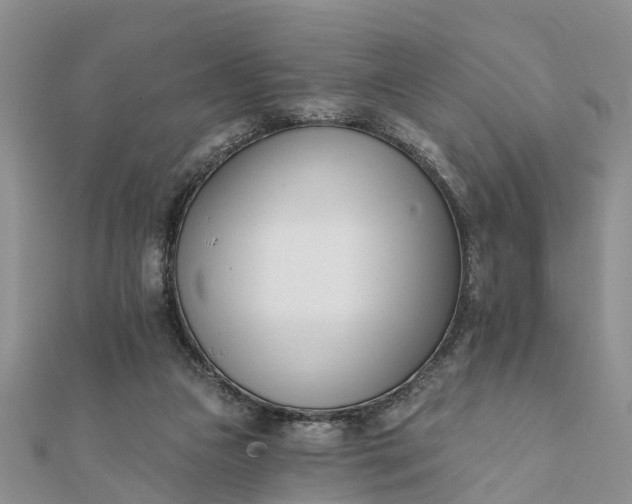 X0000112080161200908181249