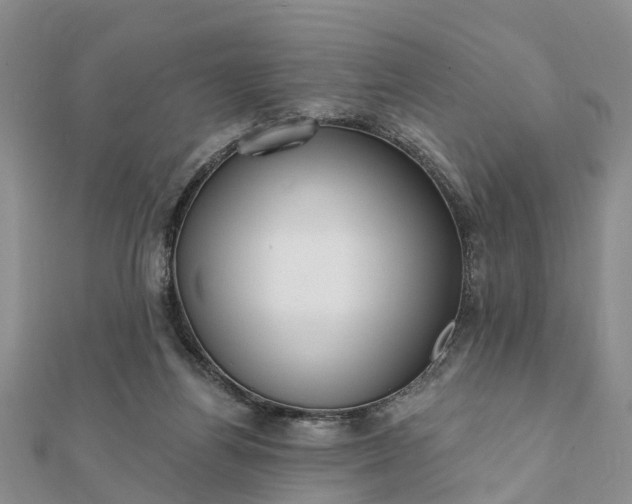 X0000112080164200908181249