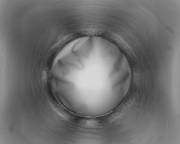 X0000112080165200908181249