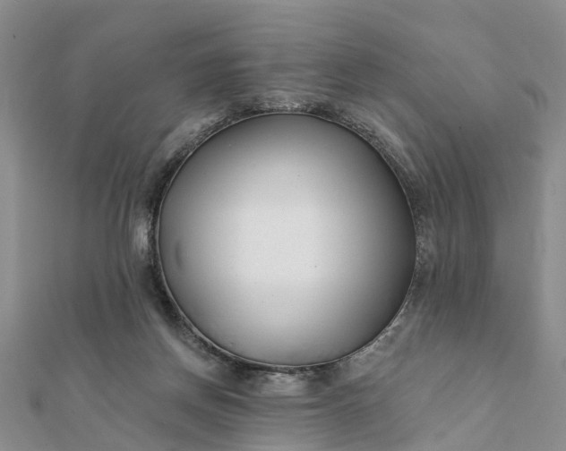 X0000112080166200908181249