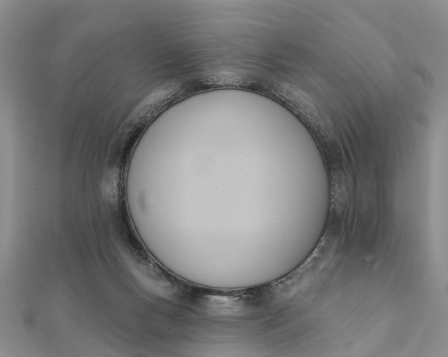 X0000112080167200908181249