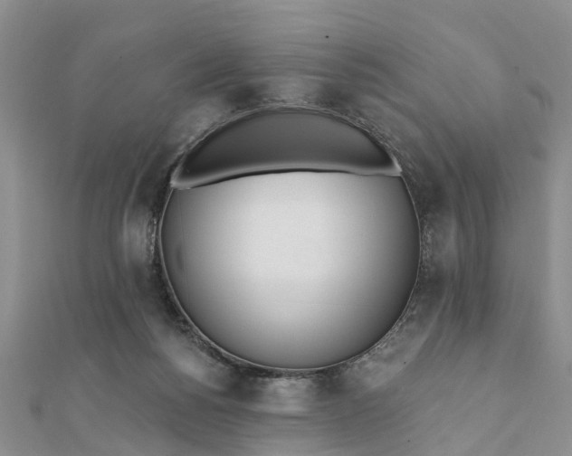 X0000112080168200908181249