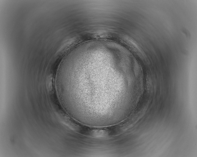 X0000112080169200908181250