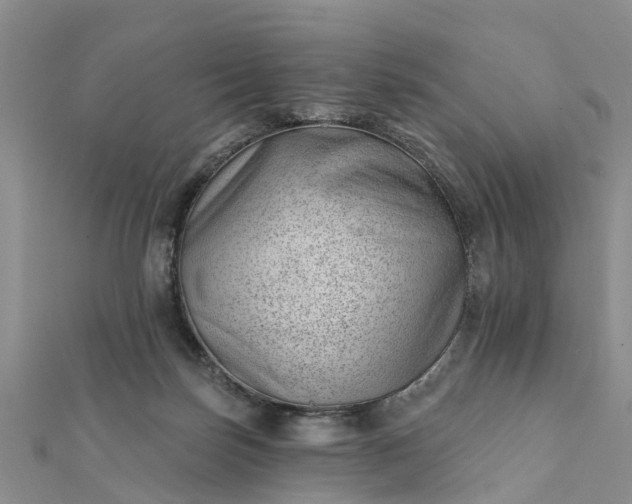 X0000112080171200908181250