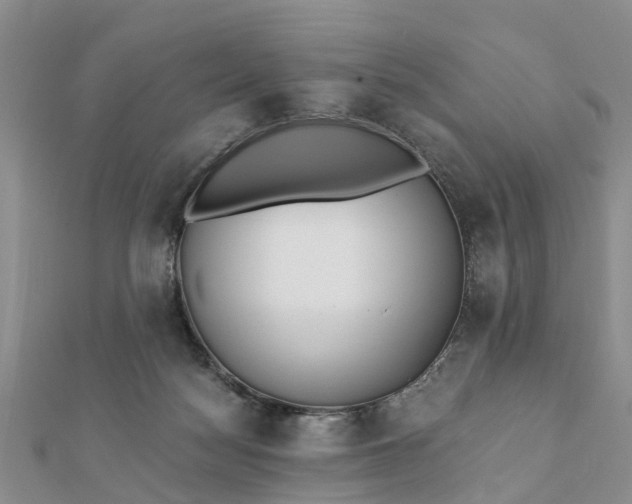 X0000112080172200908181250