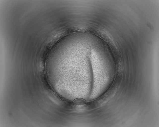 X0000112080173200908181250