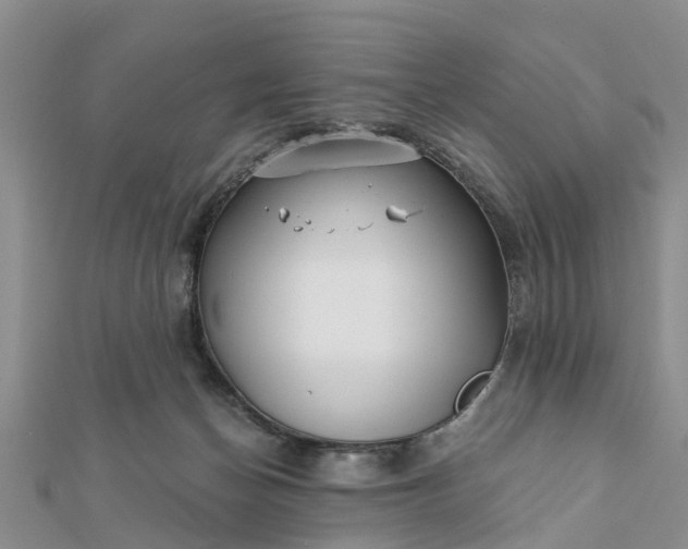 X0000112080174200908181250