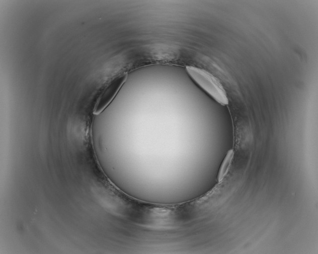 X0000112080176200908181250