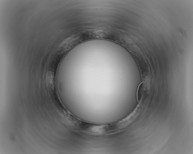 X0000112080178200908181250