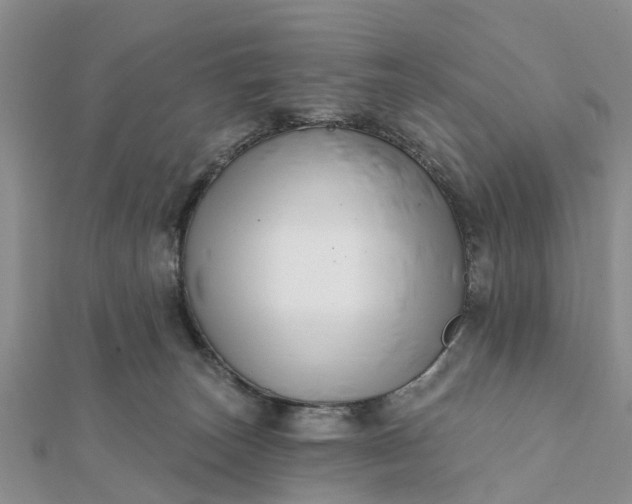 X0000112080179200908181250