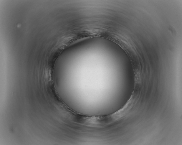 X0000112080182200908181250