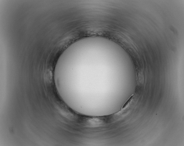 X0000112080183200908181250