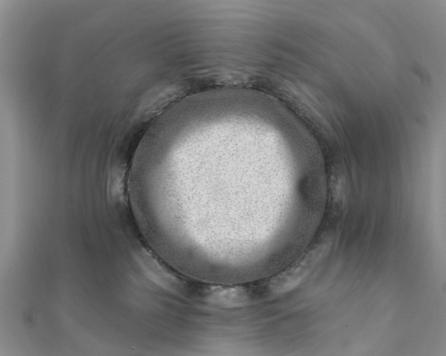 X0000112080185200908181250