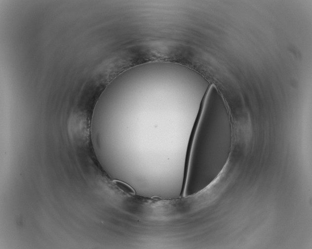 X0000112080186200908181250