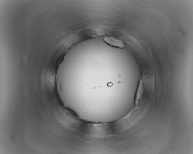 X0000112080188200908181250