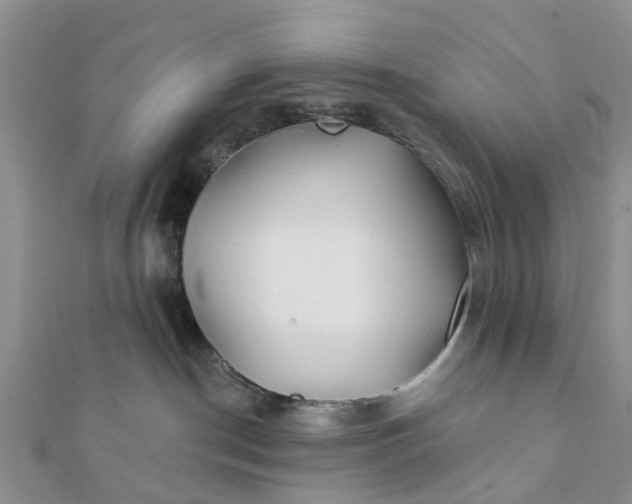 X0000112080190200908181250